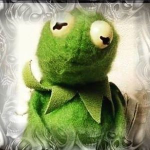 Meet your Posher, Robyn